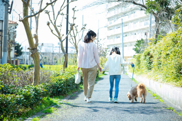 仕事と家庭の両立